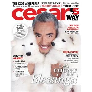 Cesar's Way Magazine